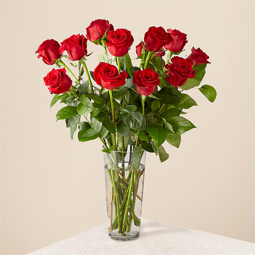 Long Stem Red Rose Bouquet – FLOWERS BY DICK & SON INC, Akron OH