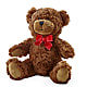 Adorable Plush Bear – FLOWERS BY DICK & SON INC, Akron OH