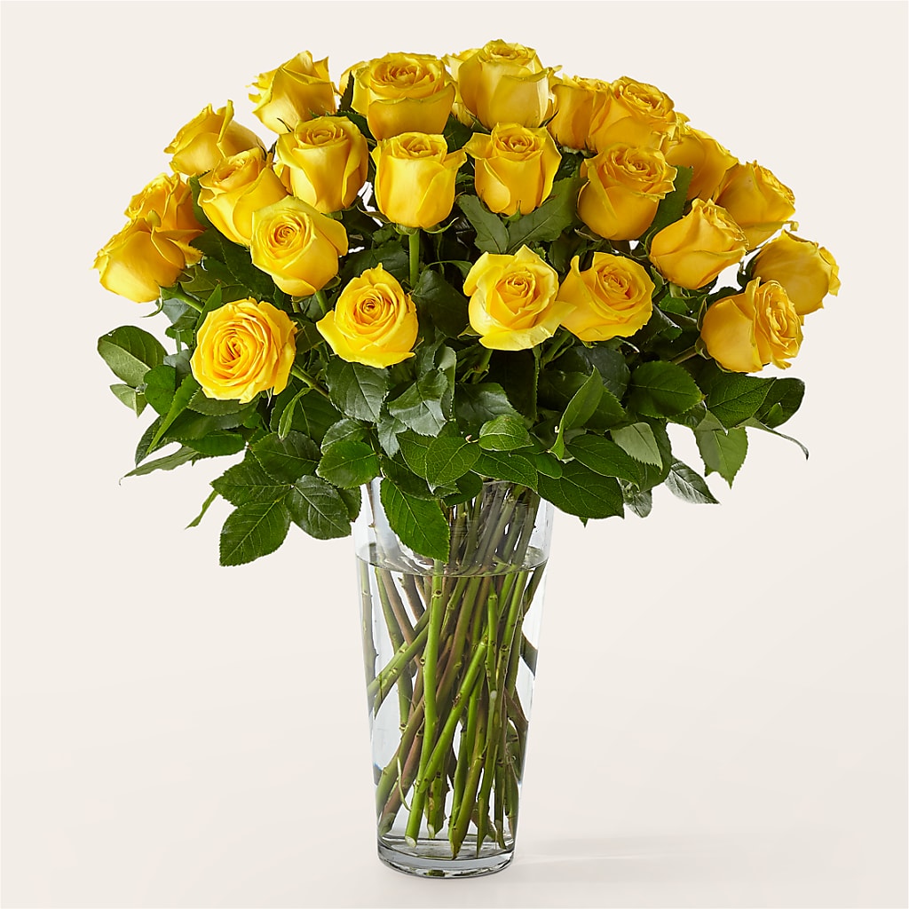 Long Stem Yellow Rose Bouquet – FLOWERS BY DICK & SON INC, Akron OH