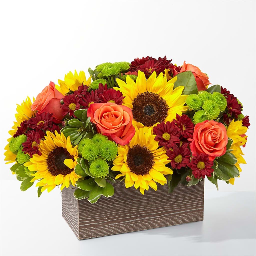 Happy Harvest Garden – FLOWERS BY DICK & SON INC, Akron OH