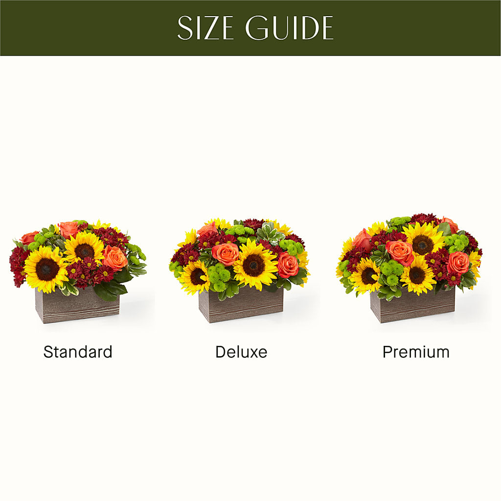 Happy Harvest Garden – FLOWERS BY DICK & SON INC, Akron OH