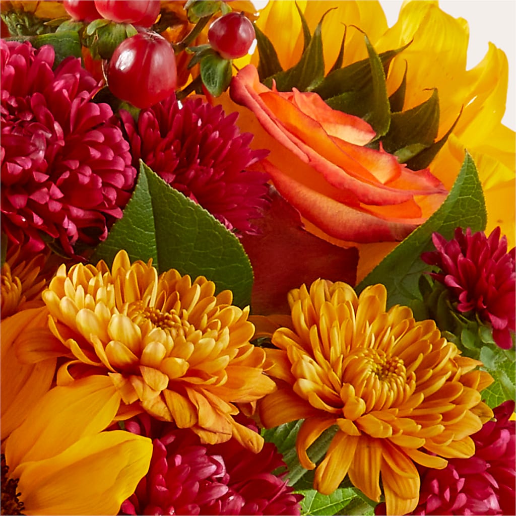 Sweater Season - A Florist Original – FLOWERS BY DICK & SON INC, Akron OH