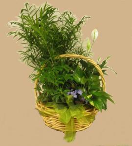 European Garden – FLOWERS BY DICK & SON INC, Akron OH