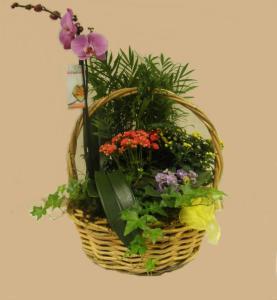 Blooming European Garden – FLOWERS BY DICK & SON INC, Akron OH