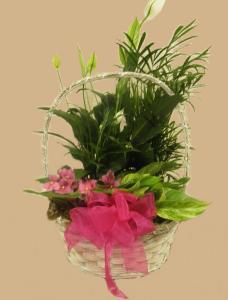 European Garden With Violet – FLOWERS BY DICK & SON INC, Akron OH