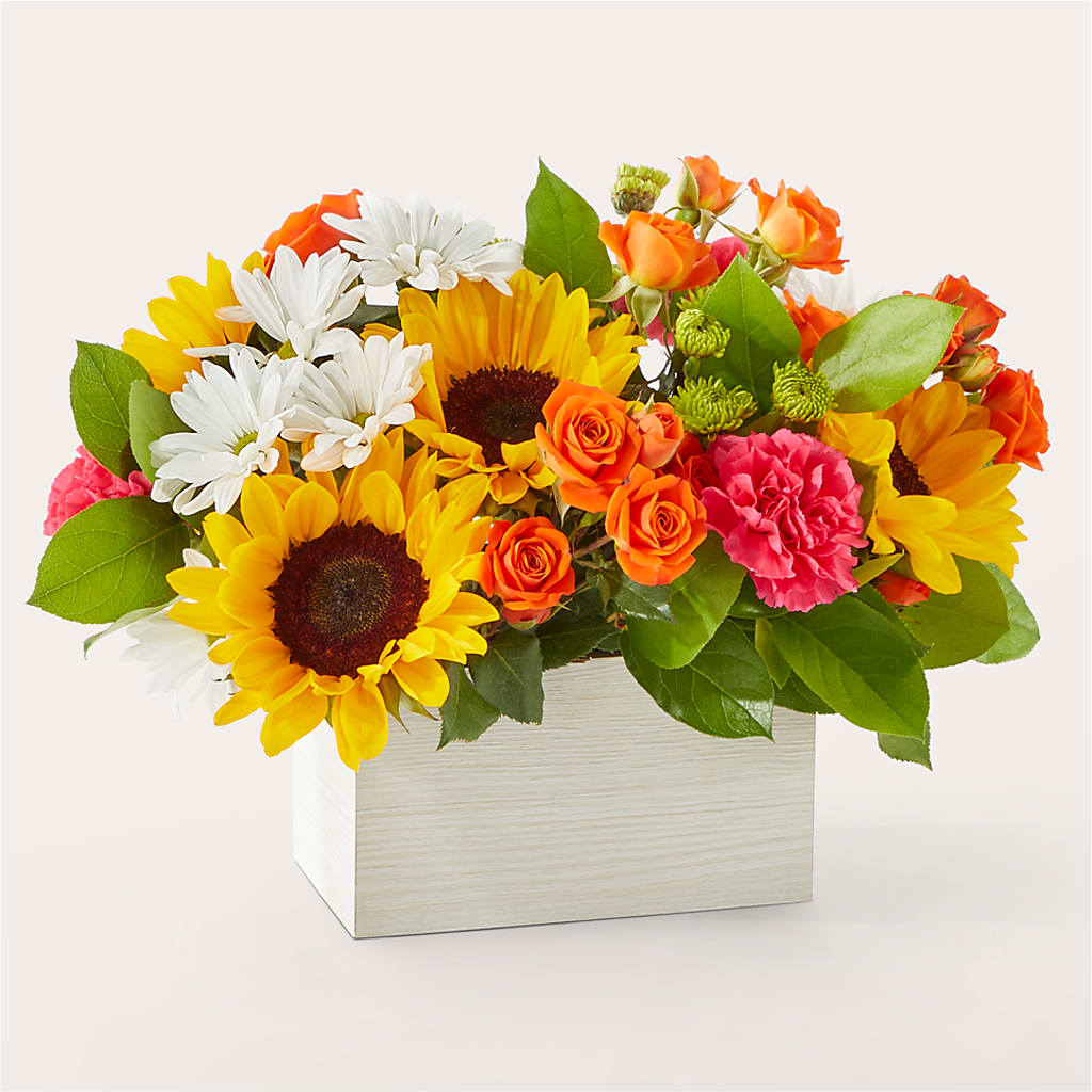 Sun-drenched Blooms Box Bouquet – FLOWERS BY DICK & SON INC, Akron OH