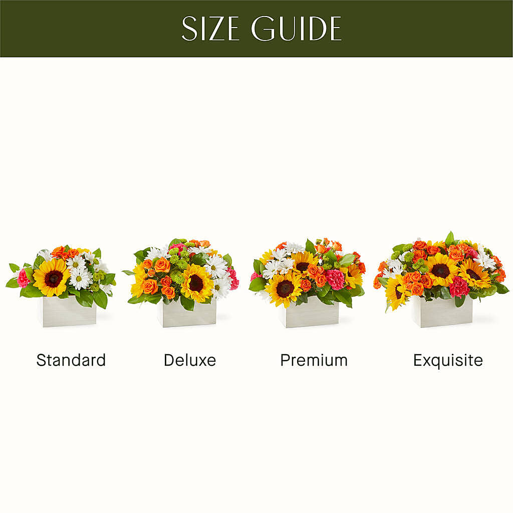 Sun-drenched Blooms Box Bouquet – FLOWERS BY DICK & SON INC, Akron OH