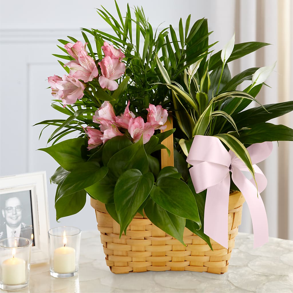Living Spirit Dishgarden – FLOWERS BY DICK & SON INC, Akron OH