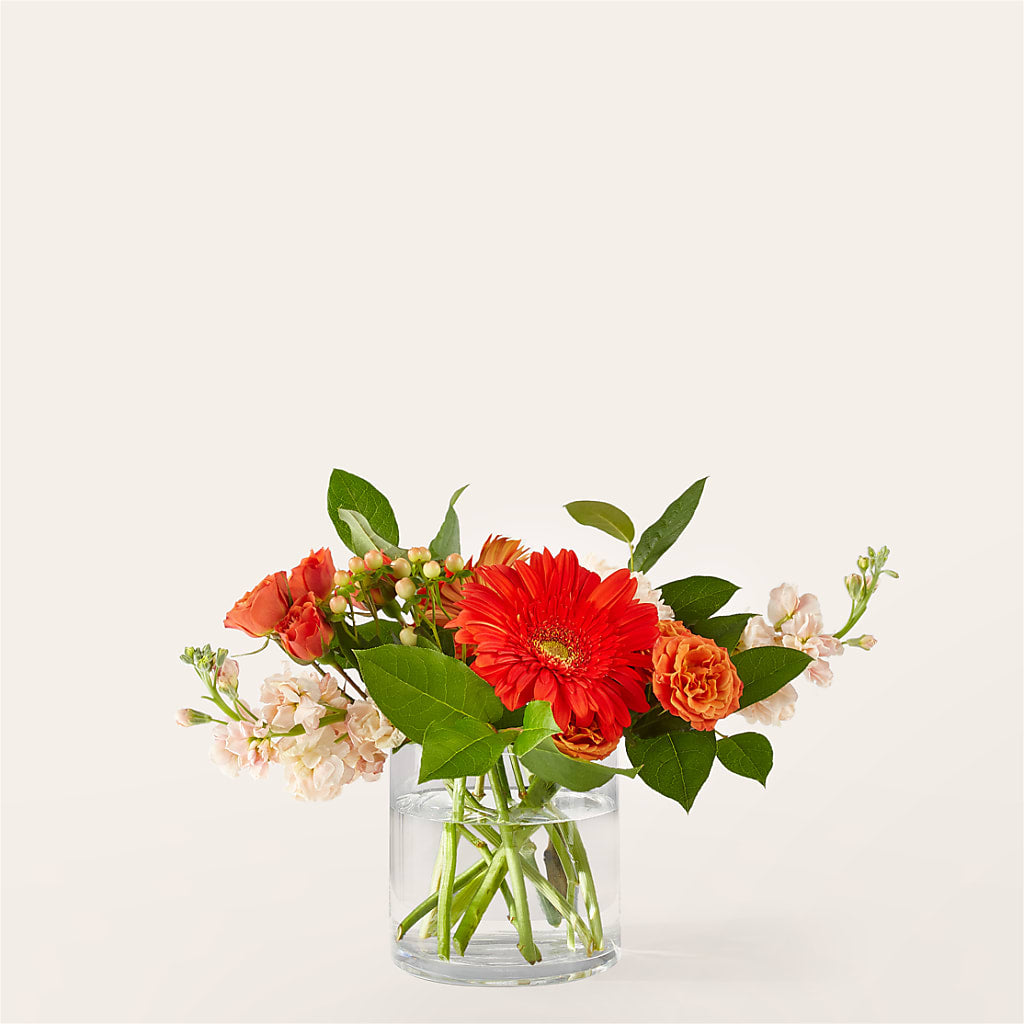 Paloma Please Bouquet – FLOWERS BY DICK & SON INC, Akron OH
