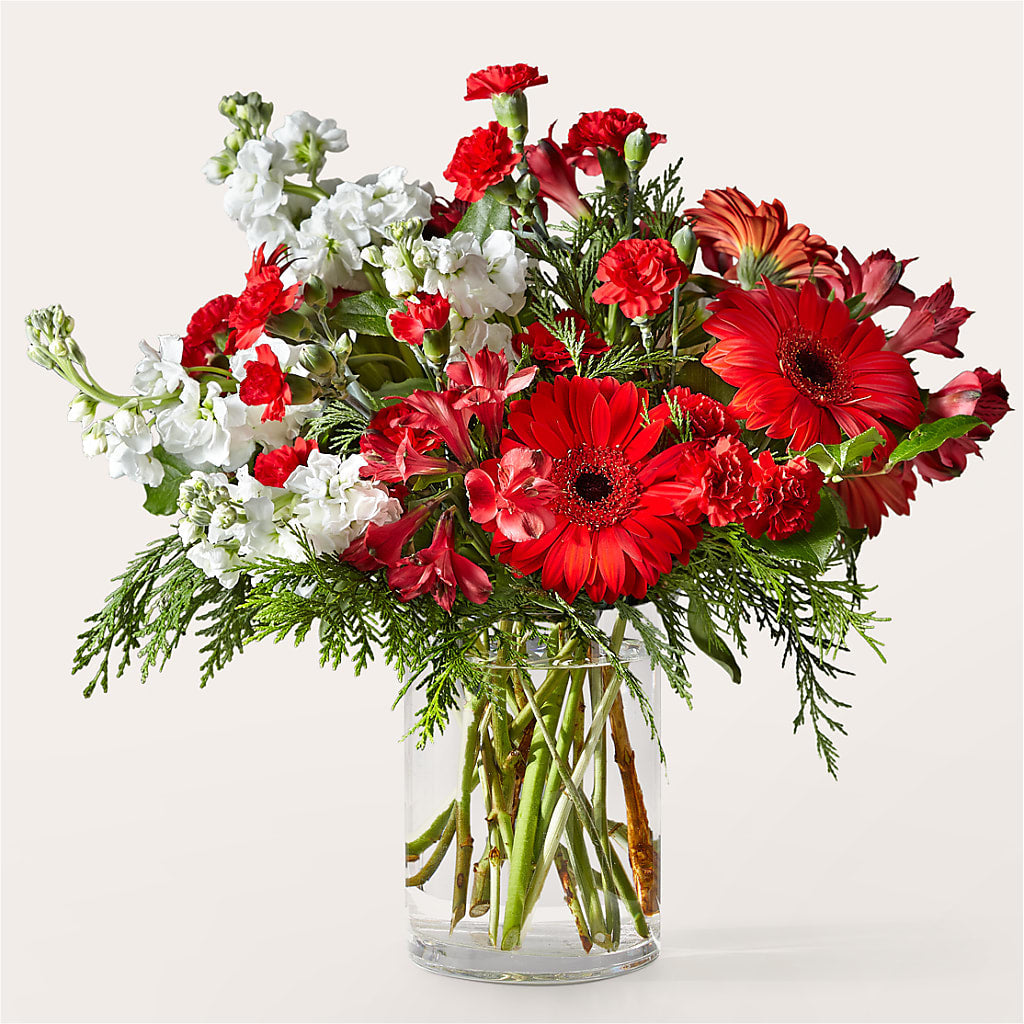 Holidaisy Bouquet – FLOWERS BY DICK & SON INC, Akron OH
