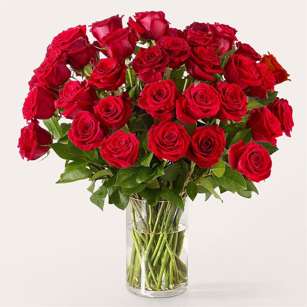 The One Red Rose Bouquet – FLOWERS BY DICK & SON INC, Akron OH