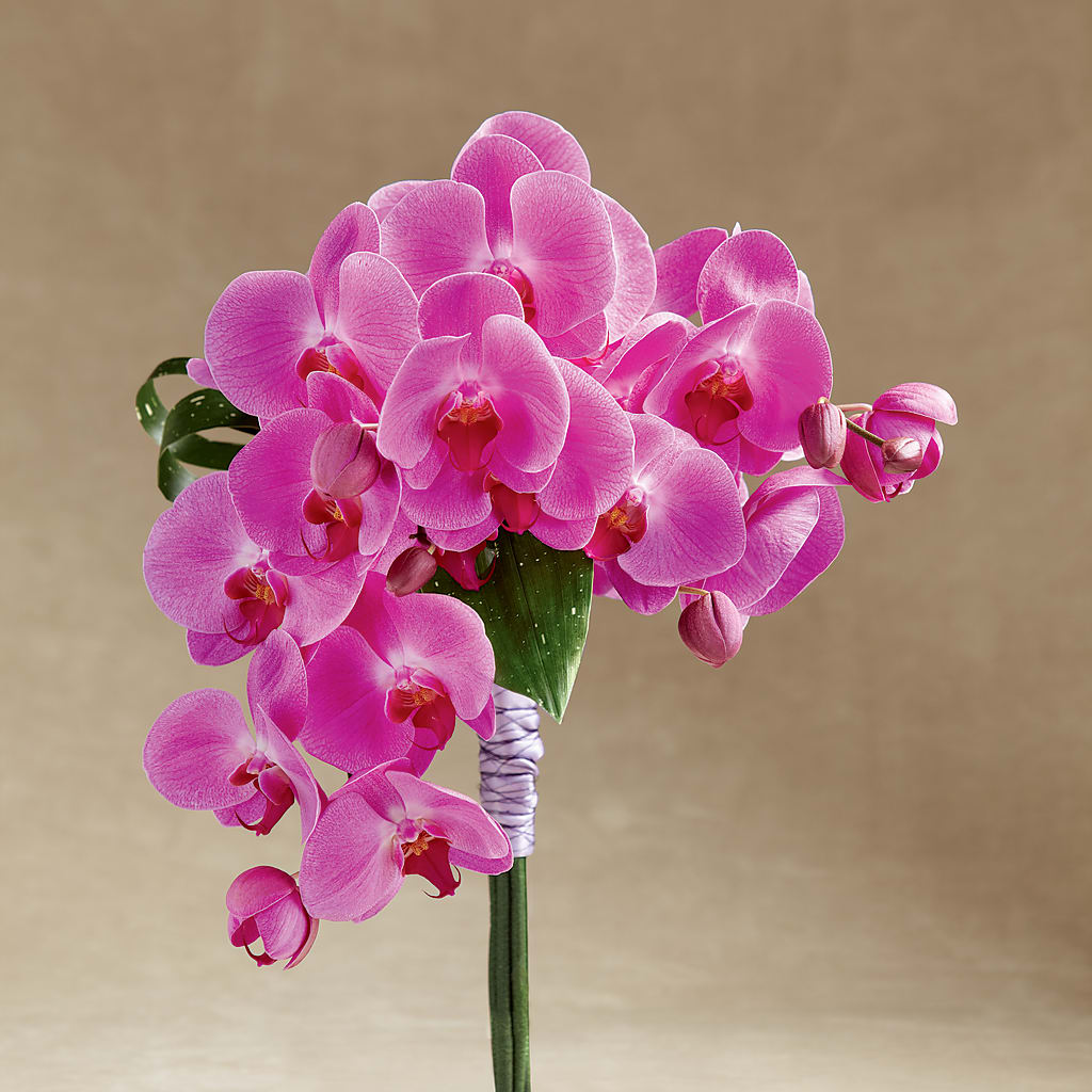 Glorious Bouquet – FLOWERS BY DICK & SON INC, Akron OH