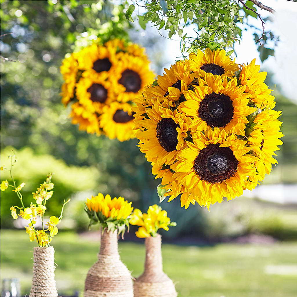 Sublime Garden Hanging Arrangement – FLOWERS BY DICK & SON INC, Akron OH