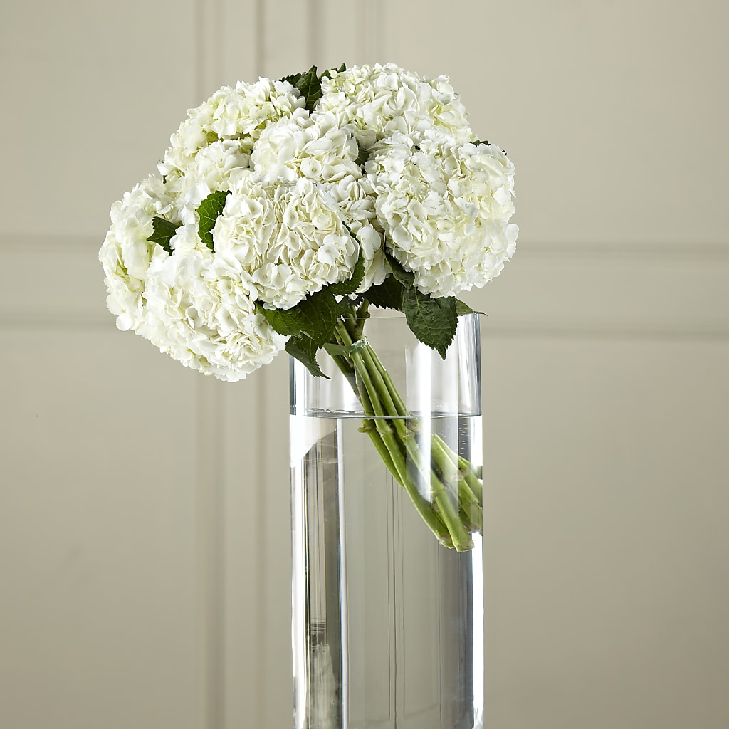 White Hydrangea Hand-Tied Bouquet – FLOWERS BY DICK & SON INC, Akron OH