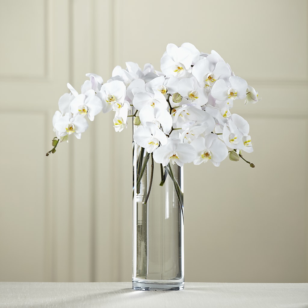 White Phalaenopsis Bouquet – FLOWERS BY DICK & SON INC, Akron OH