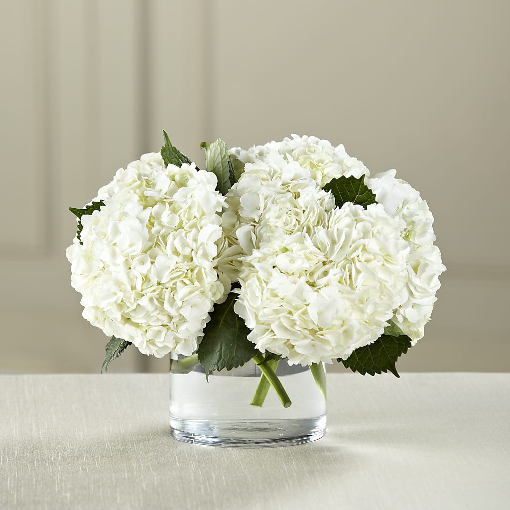 White Hydrangea Bouquet – FLOWERS BY DICK & SON INC, Akron OH