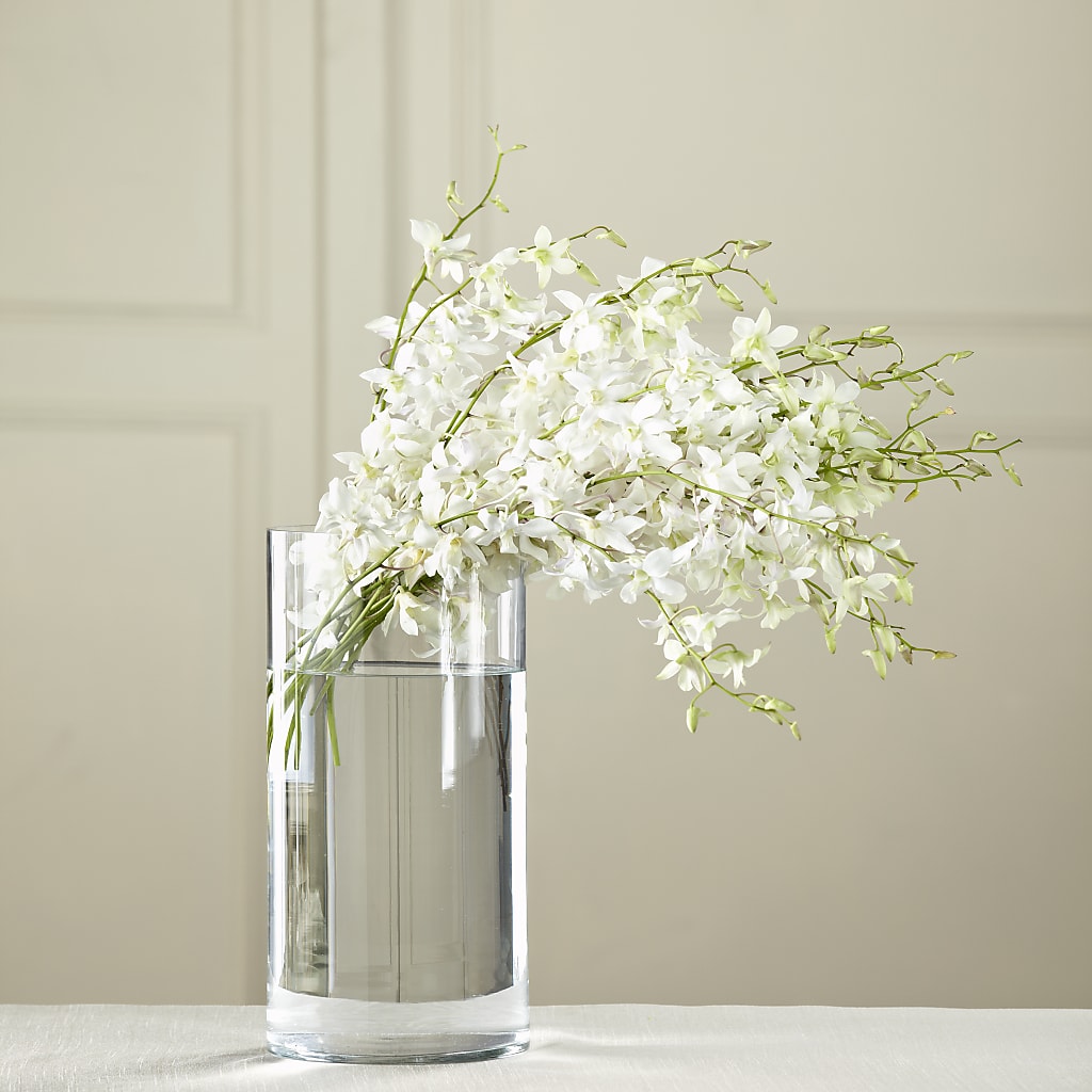 White Dendrobium Bouquet – FLOWERS BY DICK & SON INC, Akron OH