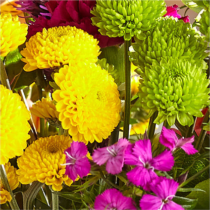 Bold & Bright – A Florist Original – FLOWERS BY DICK & SON INC, Akron OH