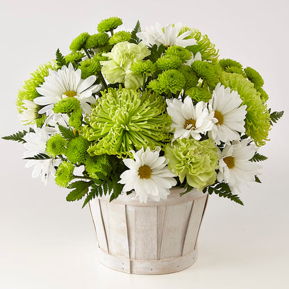 Lucky Charm Basket (Standard) – FLOWERS BY DICK & SON INC, Akron OH