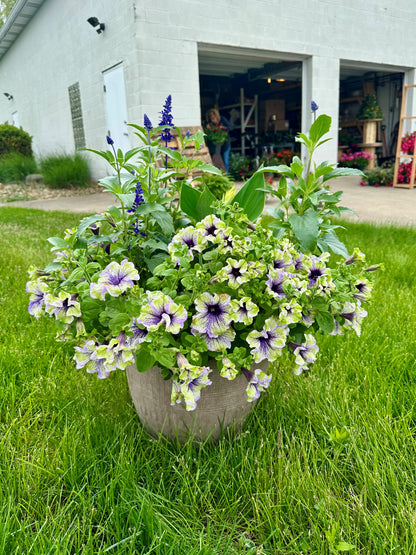 Mixed Annual Planters