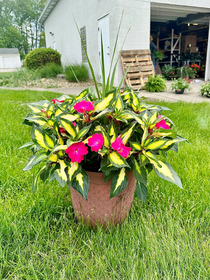 Mixed Annual Planters