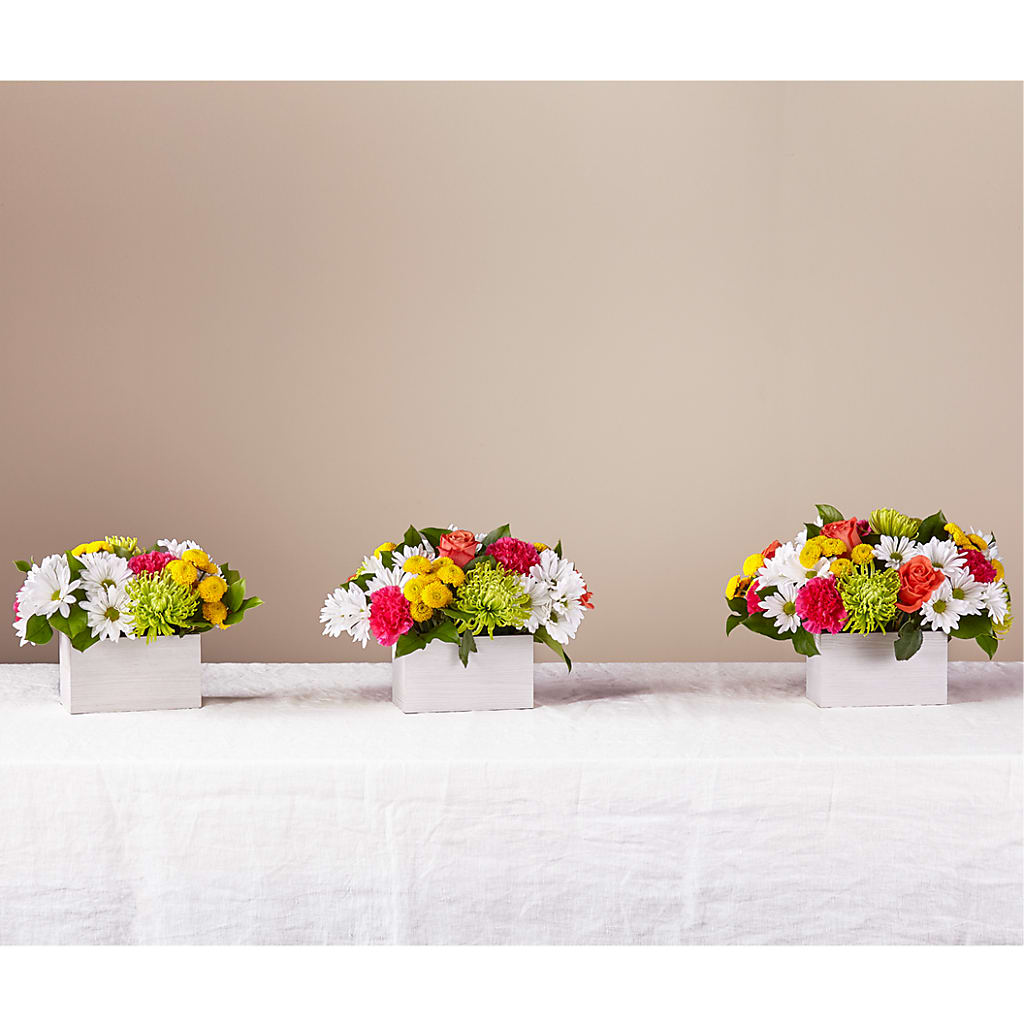 Sorbet Bouquet – FLOWERS BY DICK & SON INC, Akron OH