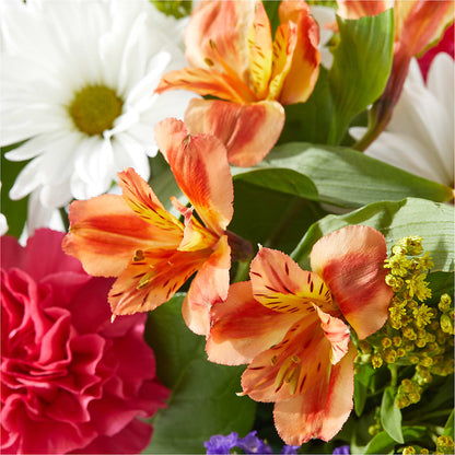 Oopsie Daisy Box Bouquet – FLOWERS BY DICK & SON INC, Akron OH