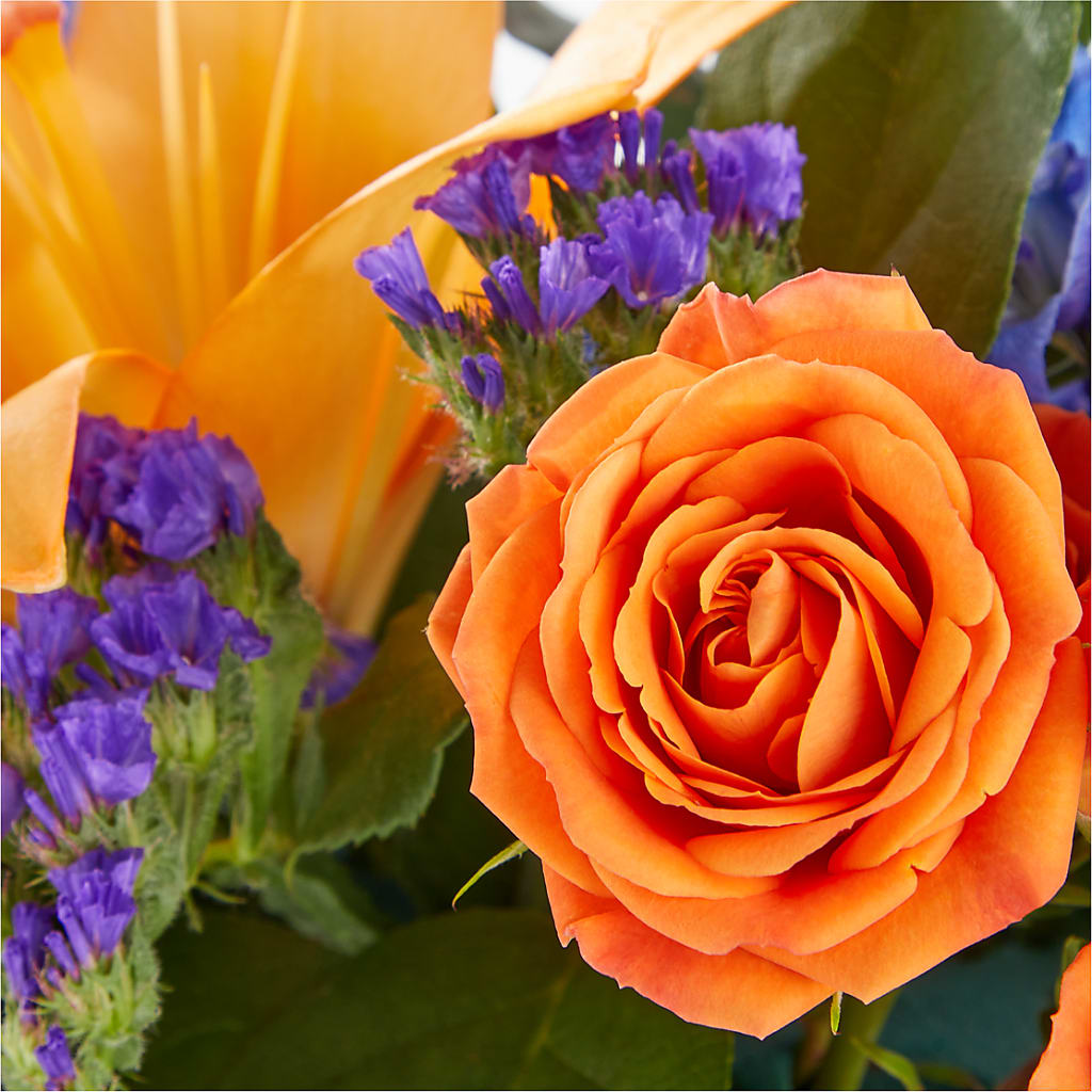 Radiant Citrus Box Bouquet – FLOWERS BY DICK & SON INC, Akron OH