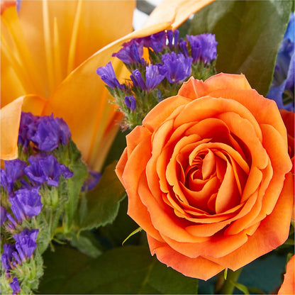 Radiant Citrus Box Bouquet – FLOWERS BY DICK & SON INC, Akron OH