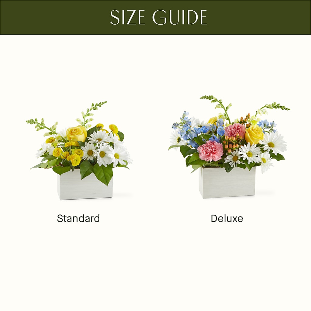 Sun Salutation Box Bouquet – FLOWERS BY DICK & SON INC, Akron OH