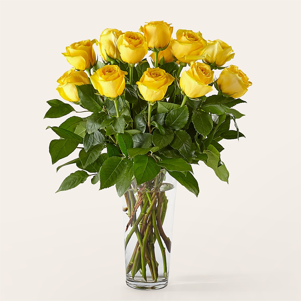 Long Stem Yellow Rose Bouquet – FLOWERS BY DICK & SON INC, Akron OH