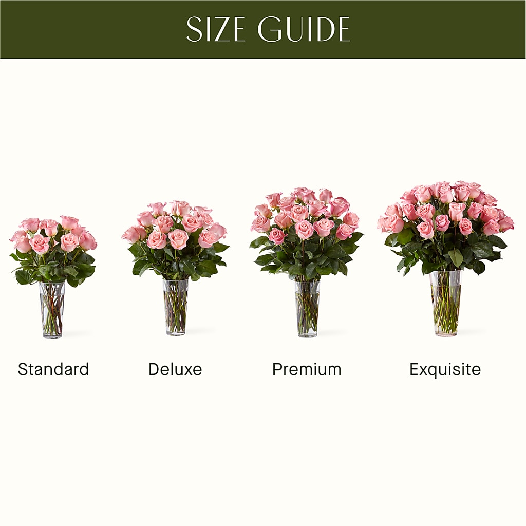 Long Stem Pink Rose Bouquet – FLOWERS BY DICK & SON INC, Akron OH