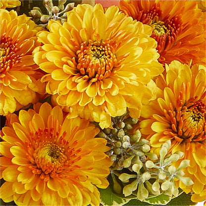 Peachy Pumpkin – FLOWERS BY DICK & SON INC, Akron OH