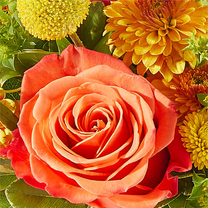 Gourdgeous Pumpkin – FLOWERS BY DICK & SON INC, Akron OH