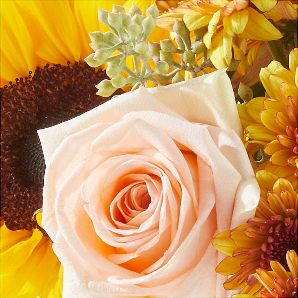 Pumpkin to Talk About Bouquet – FLOWERS BY DICK & SON INC, Akron OH