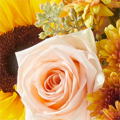 Pumpkin to Talk About Bouquet – FLOWERS BY DICK & SON INC, Akron OH