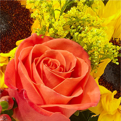 Pick of the Patch Pumpkin Bouquet – FLOWERS BY DICK & SON INC, Akron OH