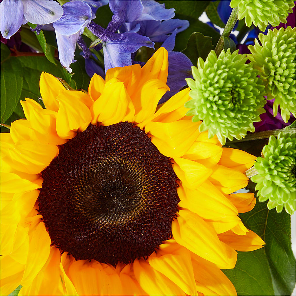 Catching Rays Bouquet – FLOWERS BY DICK & SON INC, Akron OH
