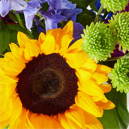 Catching Rays Bouquet – FLOWERS BY DICK & SON INC, Akron OH