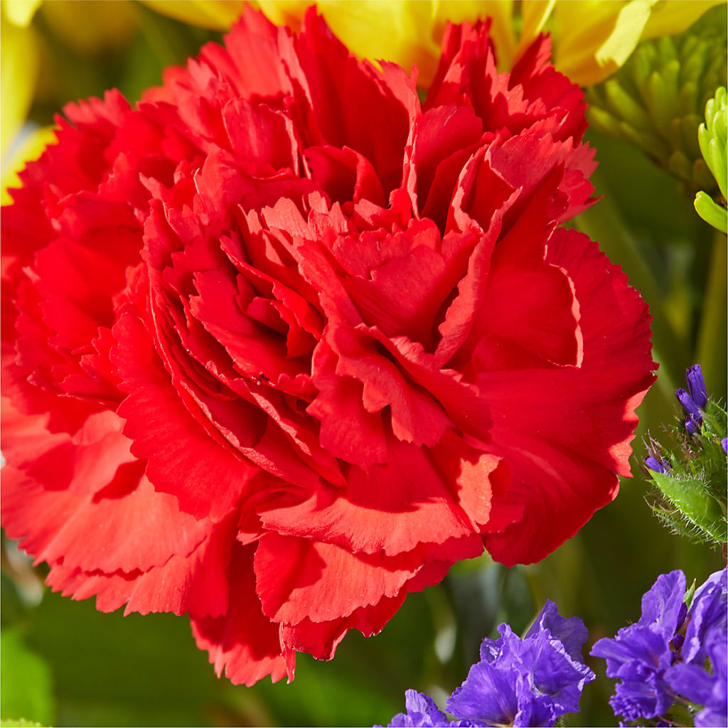 Brighter Days Bouquet – FLOWERS BY DICK & SON INC, Akron OH