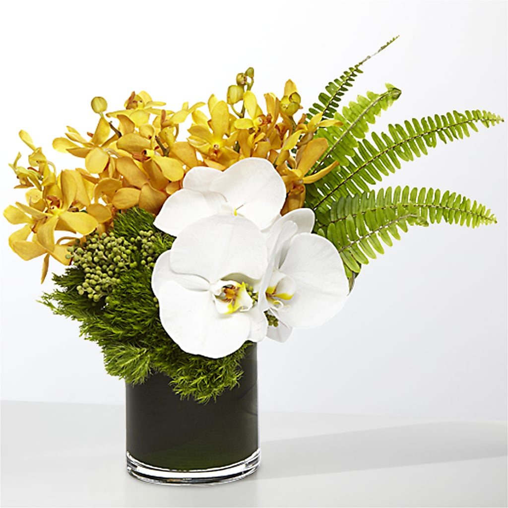 The Tropics – FLOWERS BY DICK & SON INC, Akron OH