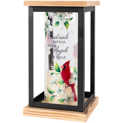 "Cardinals Appear" Framed Cylinder Lantern – FLOWERS BY DICK & SON INC, Akron OH