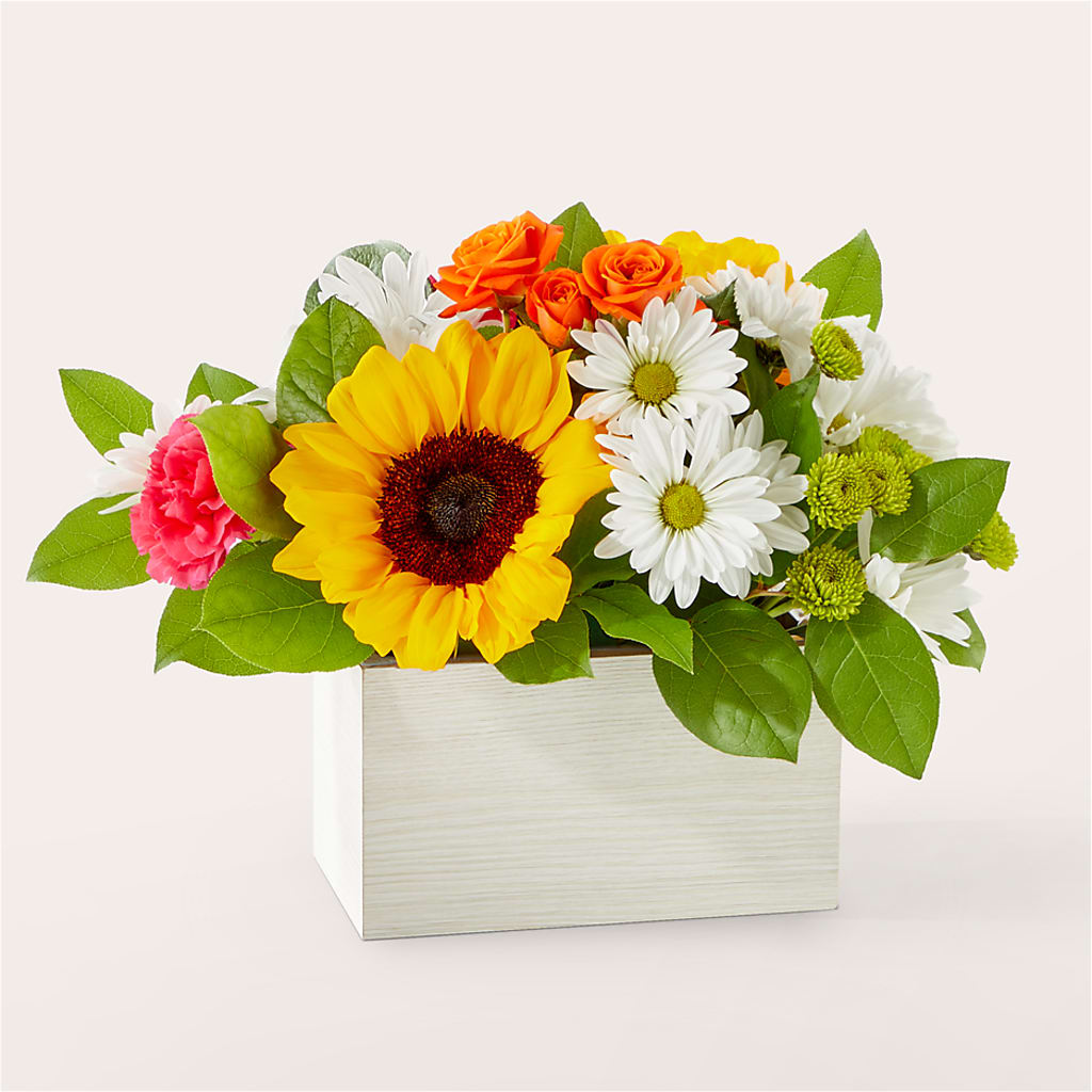 Sun-drenched Blooms Box Bouquet – FLOWERS BY DICK & SON INC, Akron OH
