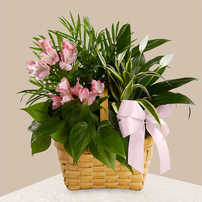 Living Spirit Dishgarden – FLOWERS BY DICK & SON INC, Akron OH