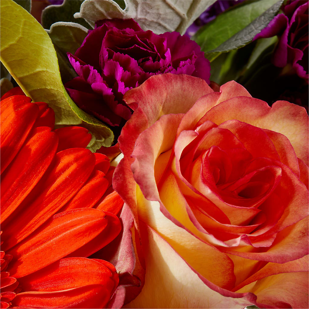 Sangria Bouquet – FLOWERS BY DICK & SON INC, Akron OH