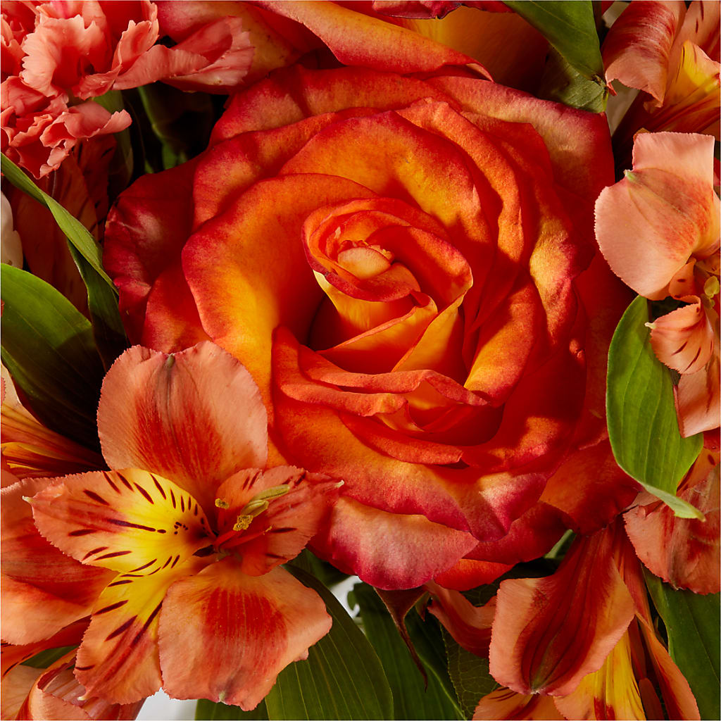 Apricot Glow Bouquet – FLOWERS BY DICK & SON INC, Akron OH