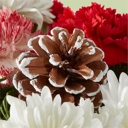 Candy Cane Lane Bouquet – FLOWERS BY DICK & SON INC, Akron OH