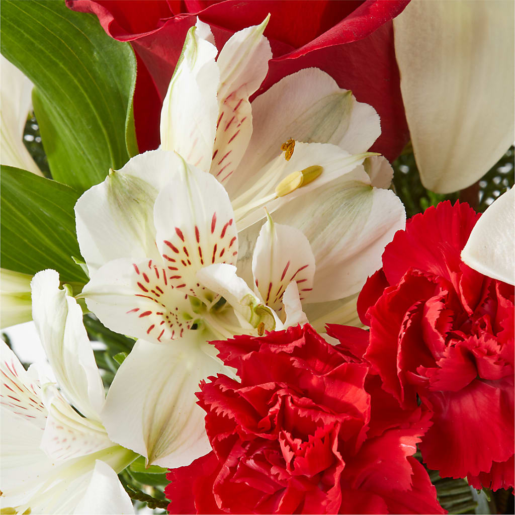 Holiday Season Bouquet – FLOWERS BY DICK & SON INC, Akron OH