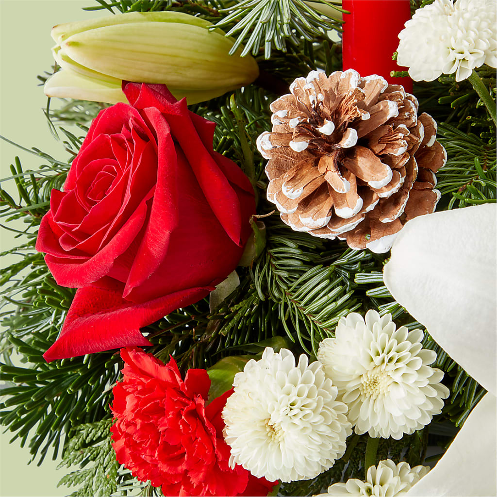 Seasonal Festivities Centerpiece – FLOWERS BY DICK & SON INC, Akron OH