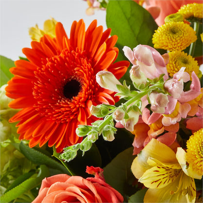 Autumn Sunshine Bouquet – FLOWERS BY DICK & SON INC, Akron OH